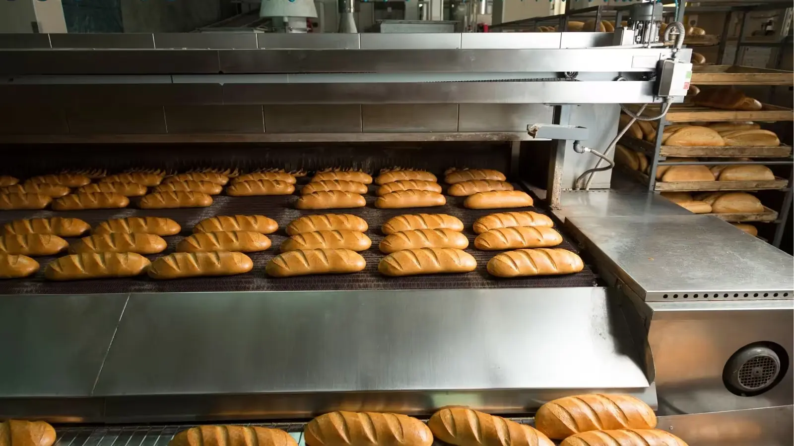 Rijen gebakken broodjes op een metalen band die uit een industriële oven komen